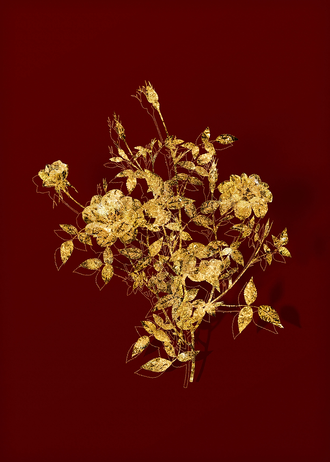 Gold Flower on Red