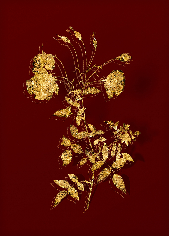 Gold Flower on Red