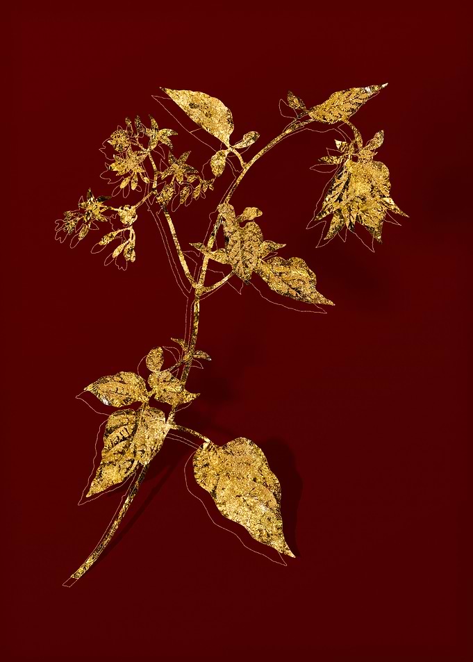 Gold Botanical on Red