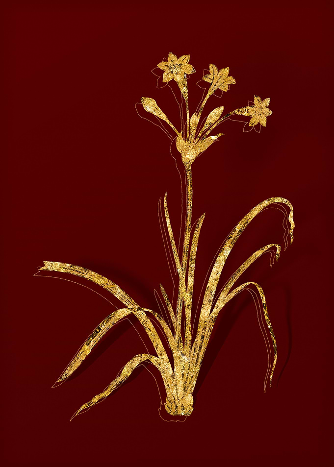 Gold Floral on Red