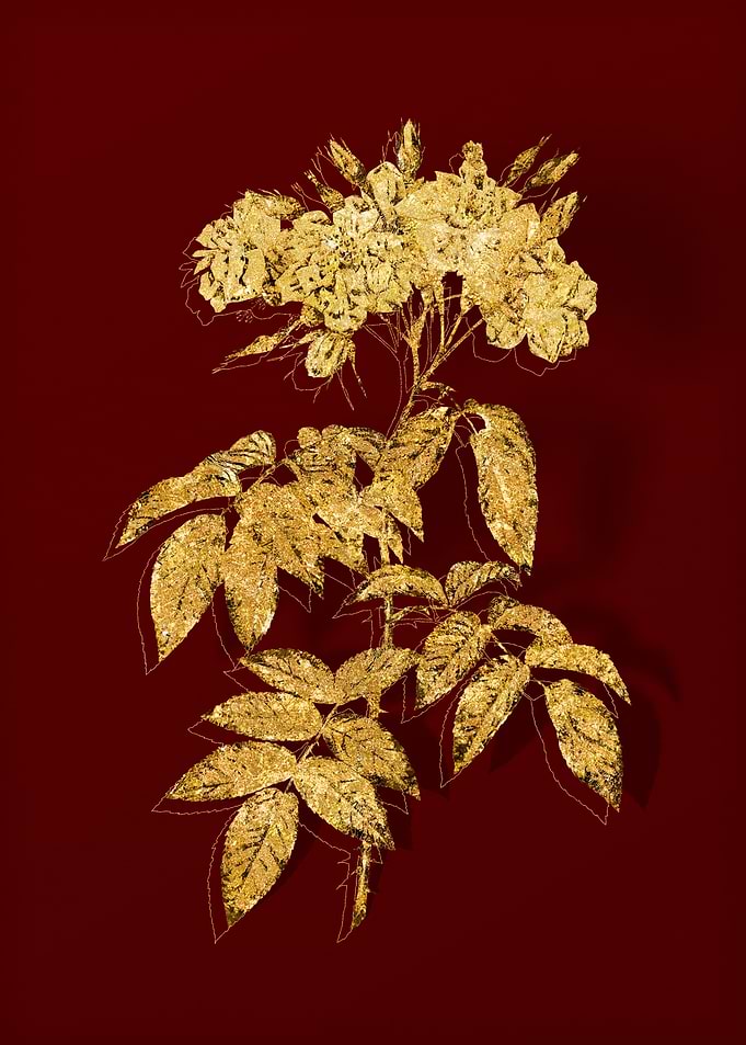 Gold Flower on Red