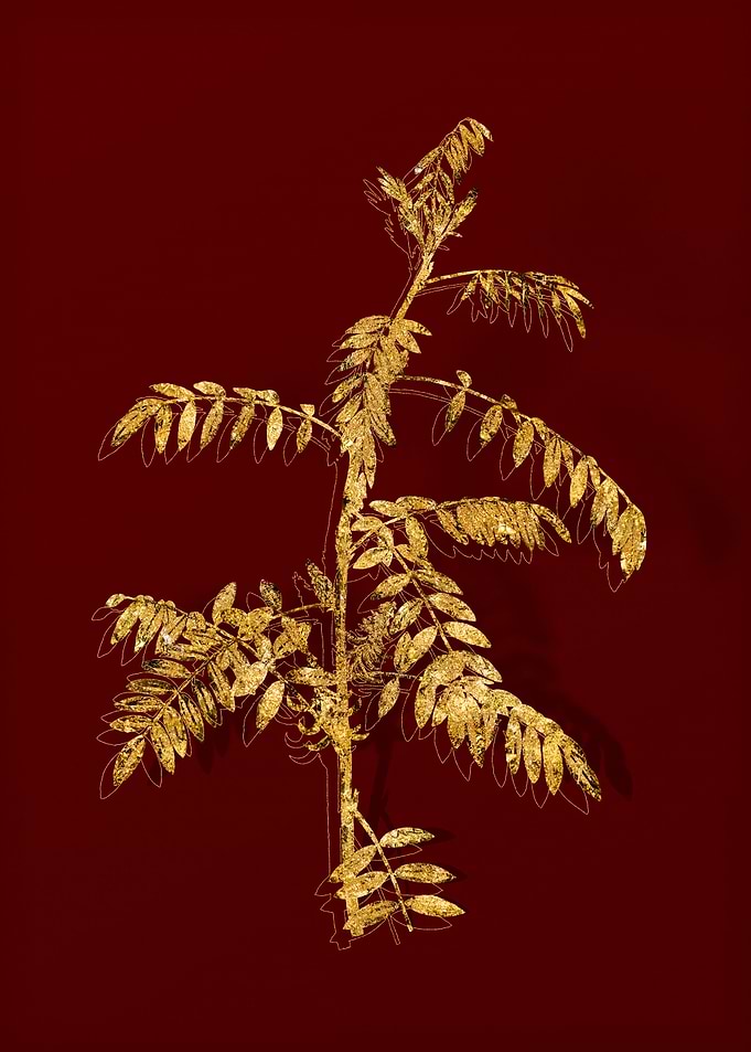 Gold Floral on Red