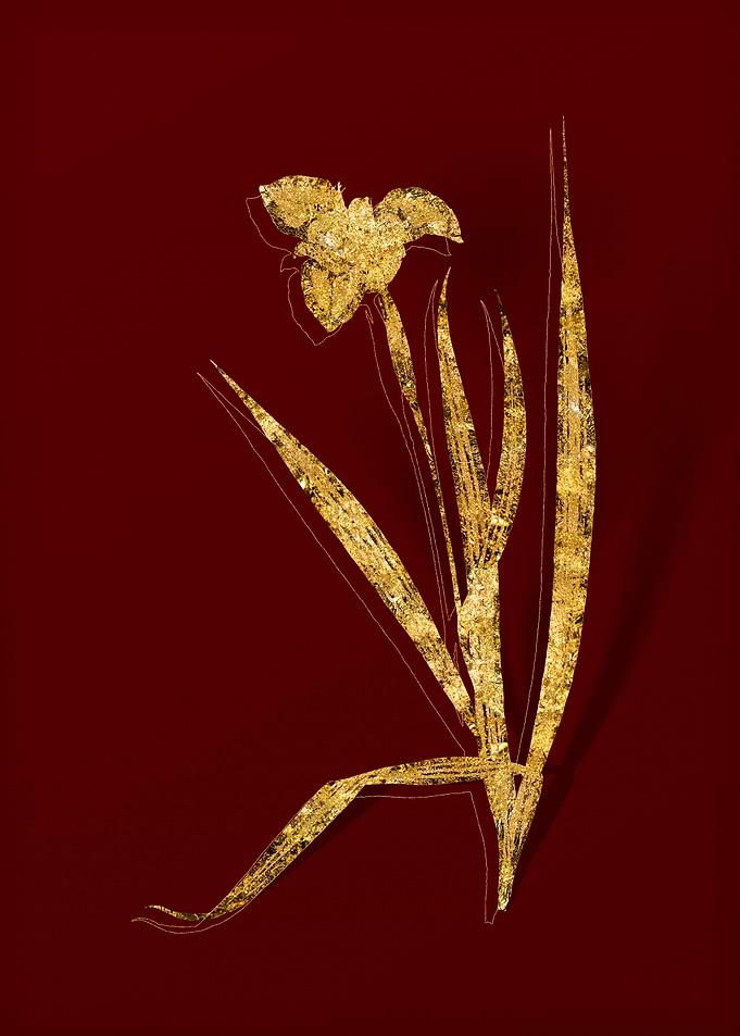 Gold Flora on Red