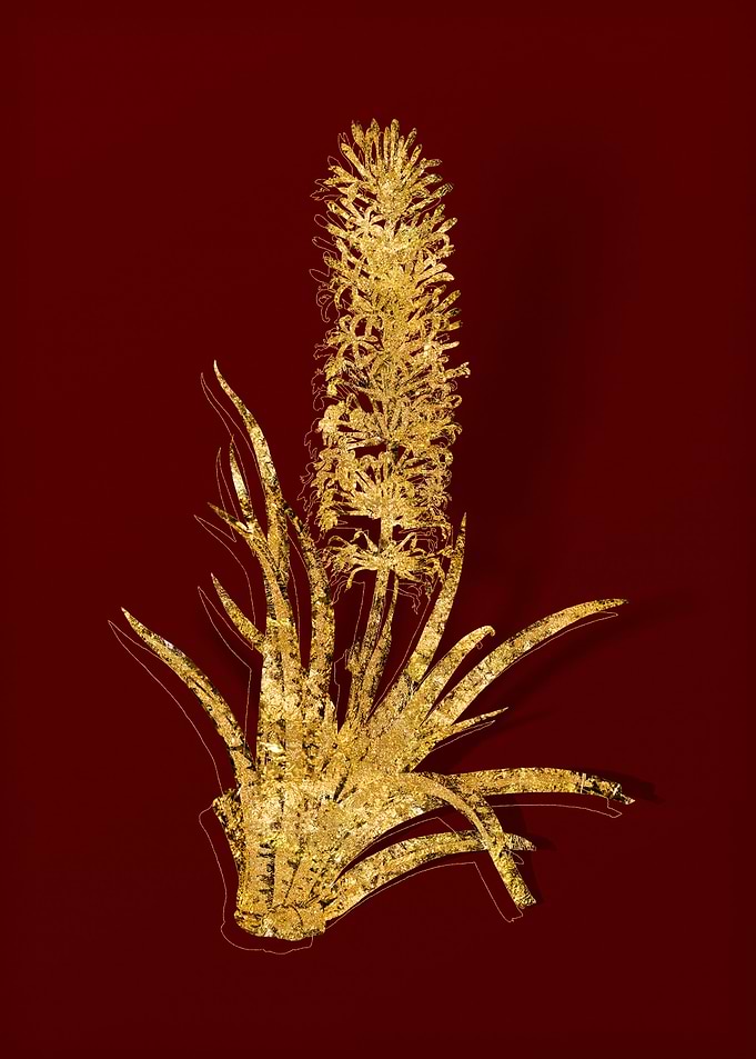 Gold Flora on Red