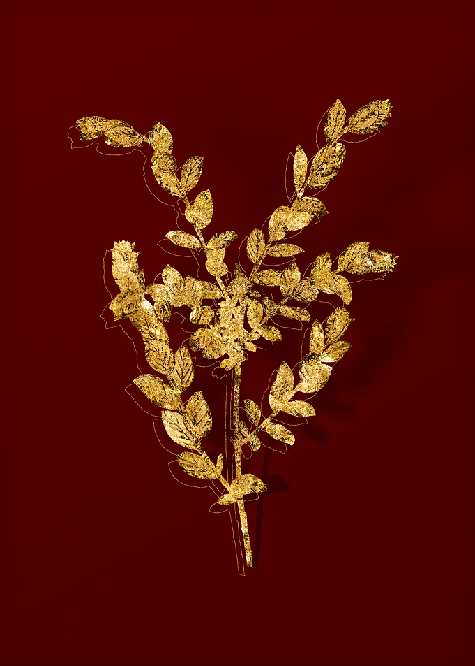 Gold Botanical on Red
