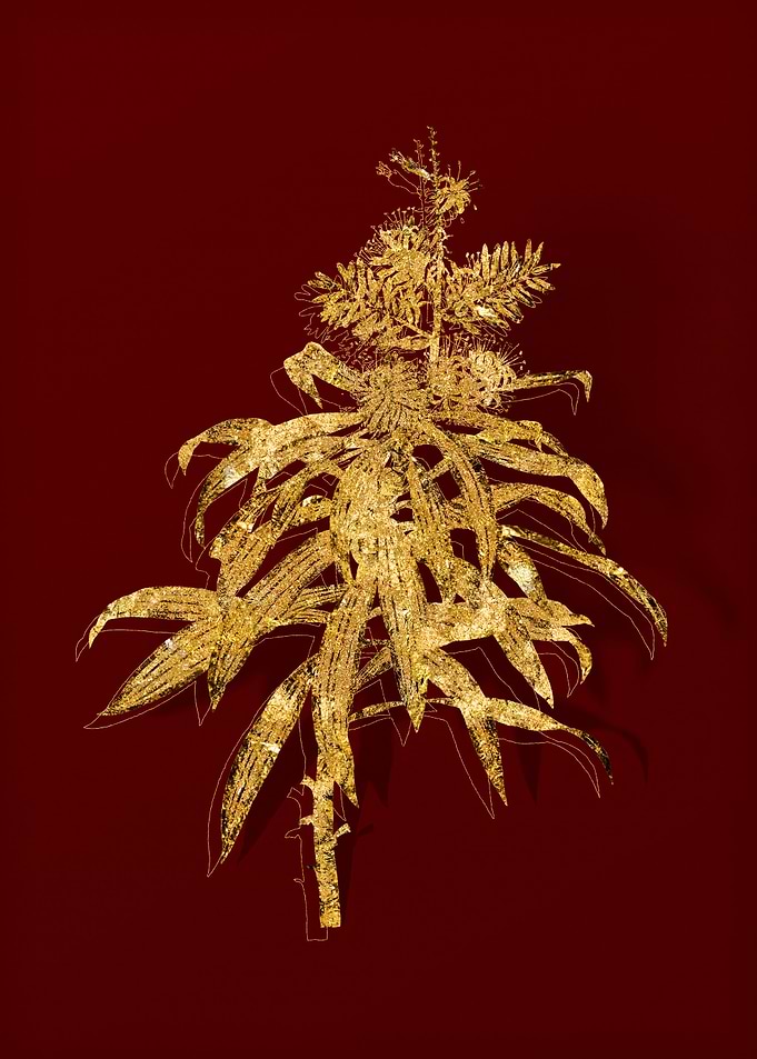 Gold Botanical on Red