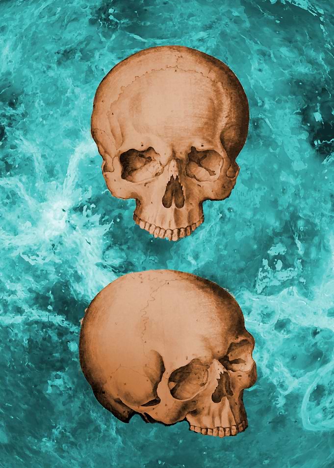 Skull design 4