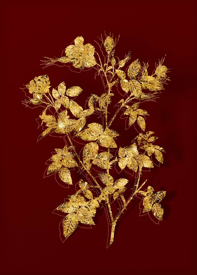 Gold Flora on Red