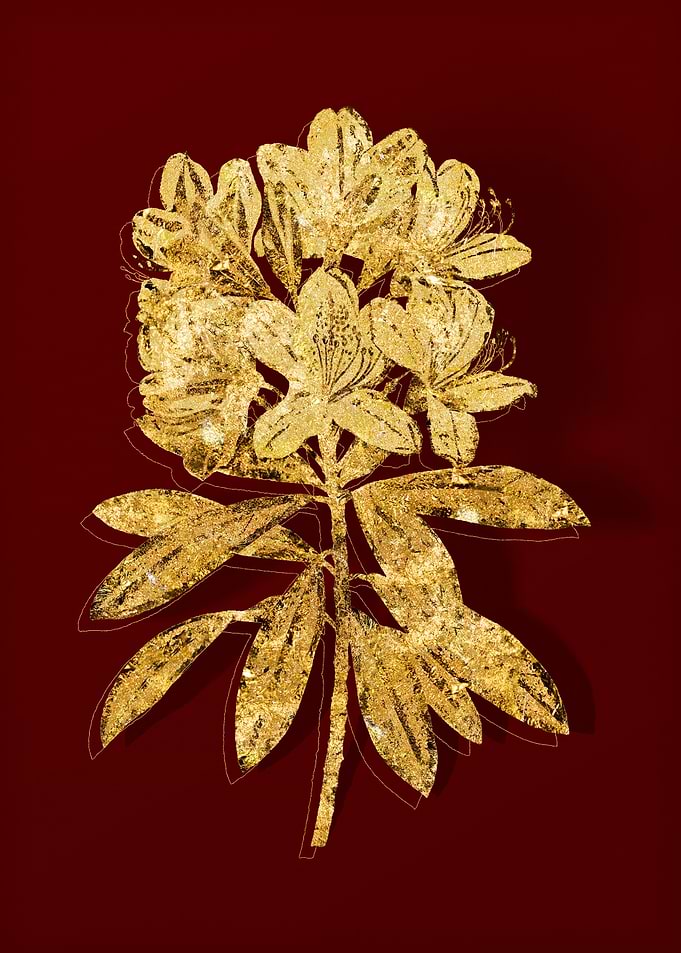 Gold Botanical on Red