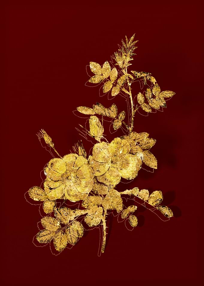 Gold Flower on Red