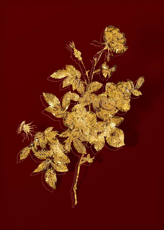 Gold Flora on Red