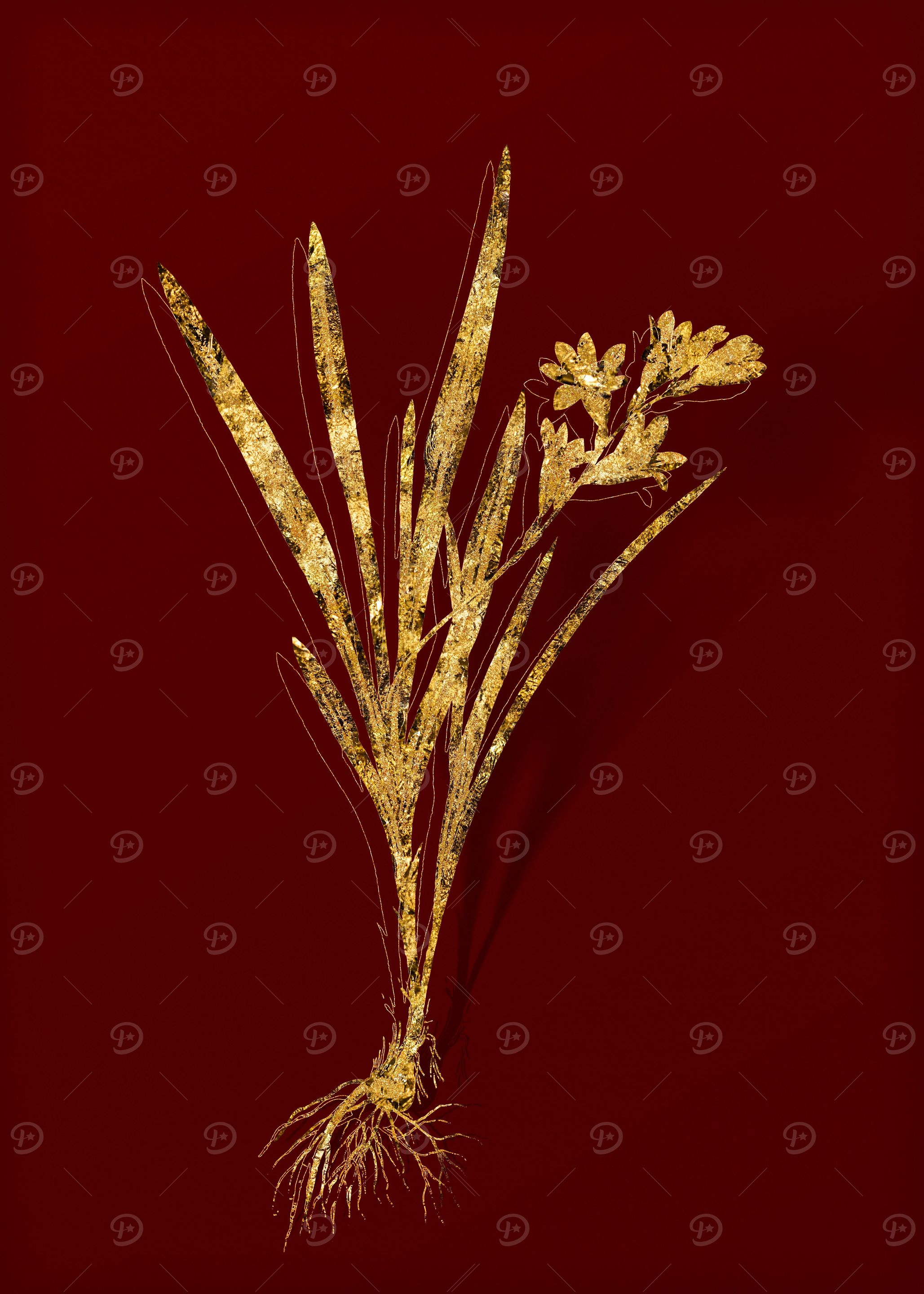 Gold Floral on Red