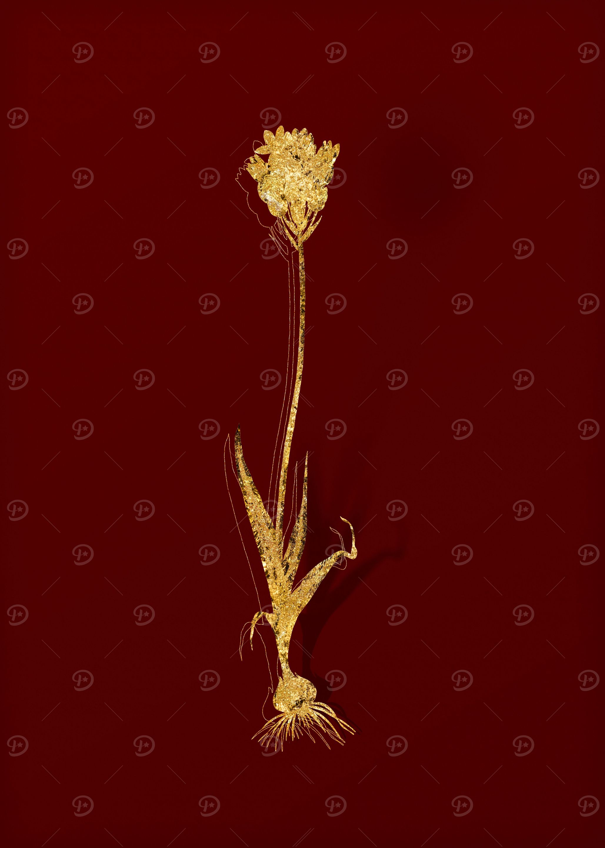 Gold Floral on Red