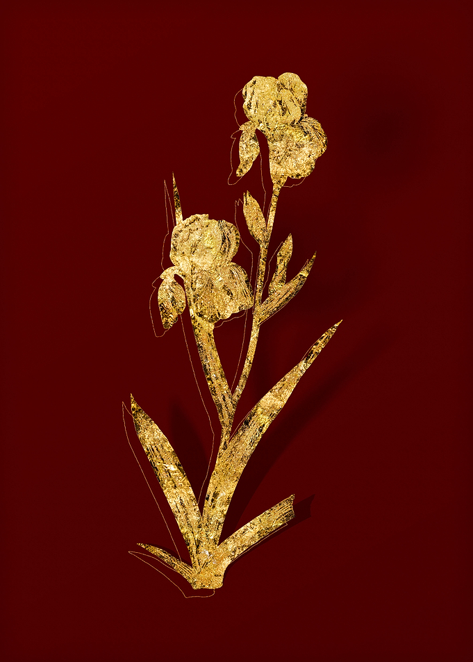 Gold Floral on Red