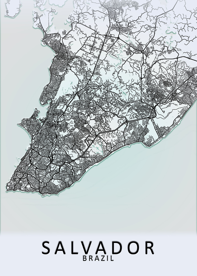 Salvador Brazil City Map