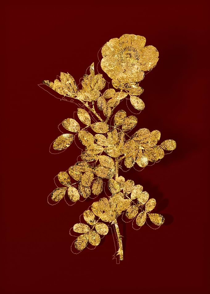 Gold Botanical on Red