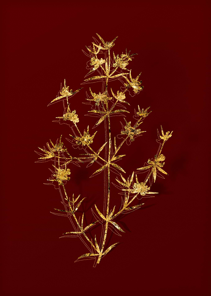 Gold Flora on Red