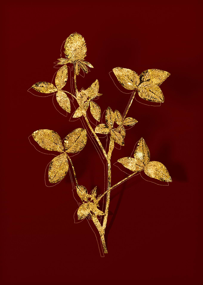 Gold Flower on Red