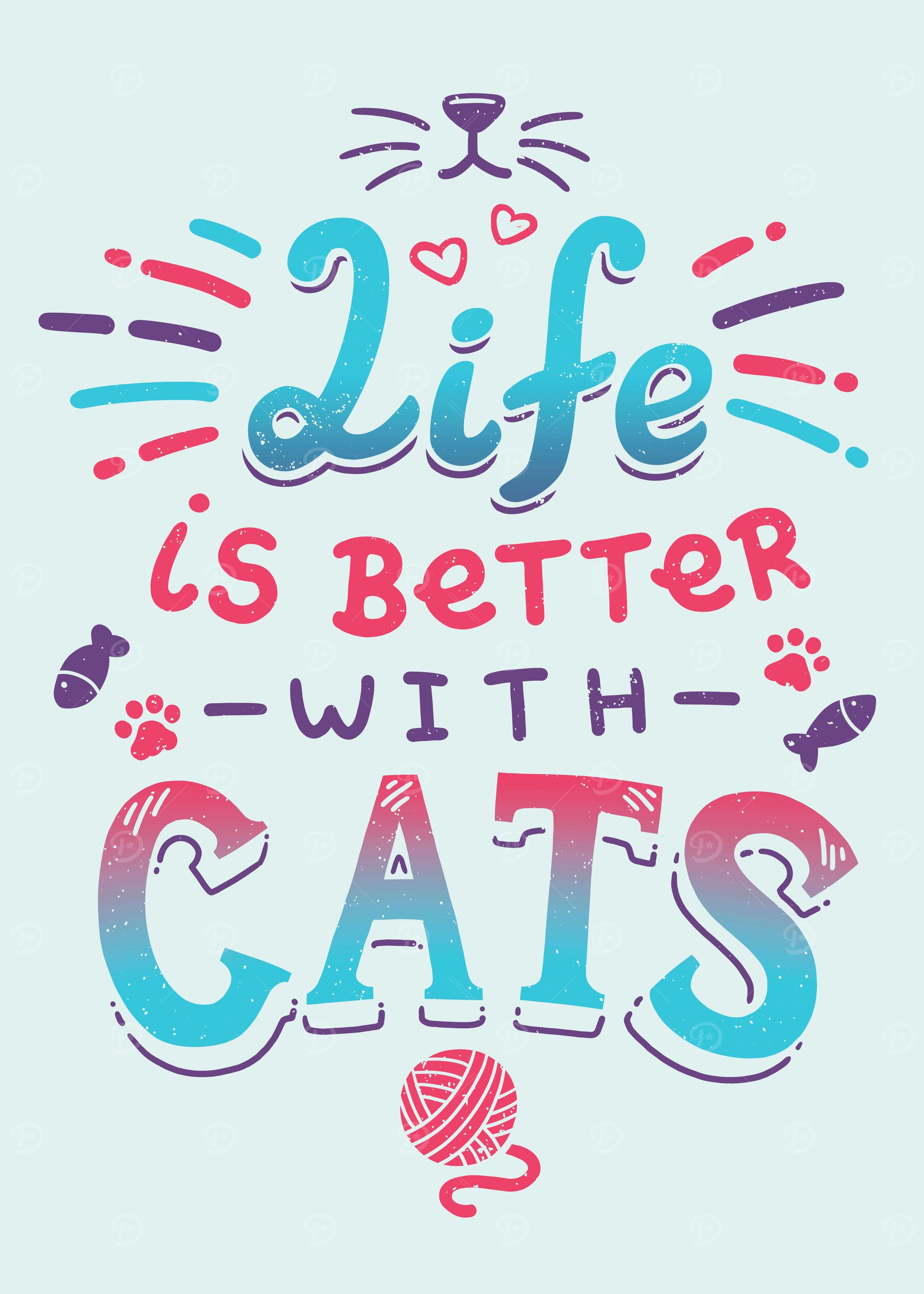 Cats Life Cute Kitten Love
