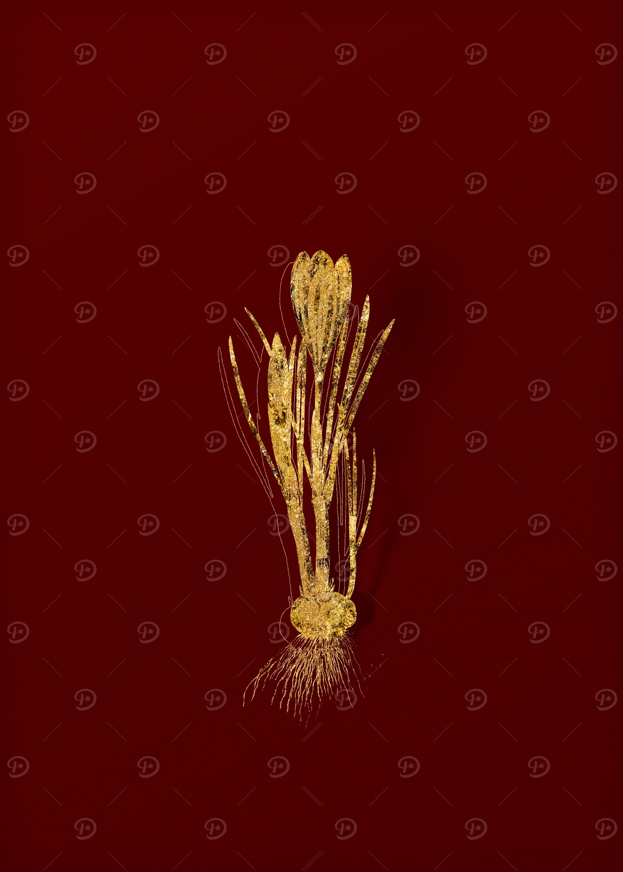 Gold Flora on Red
