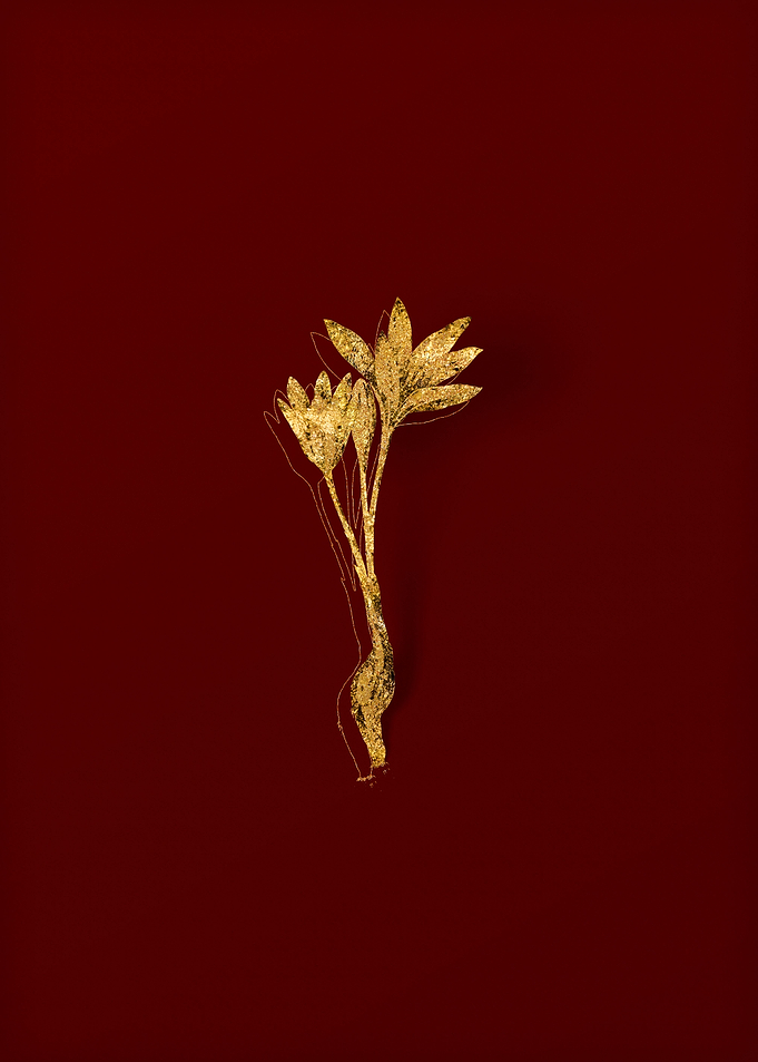 Gold Flora on Red