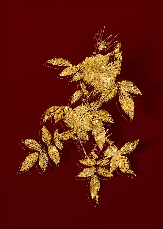 Gold Flora on Red