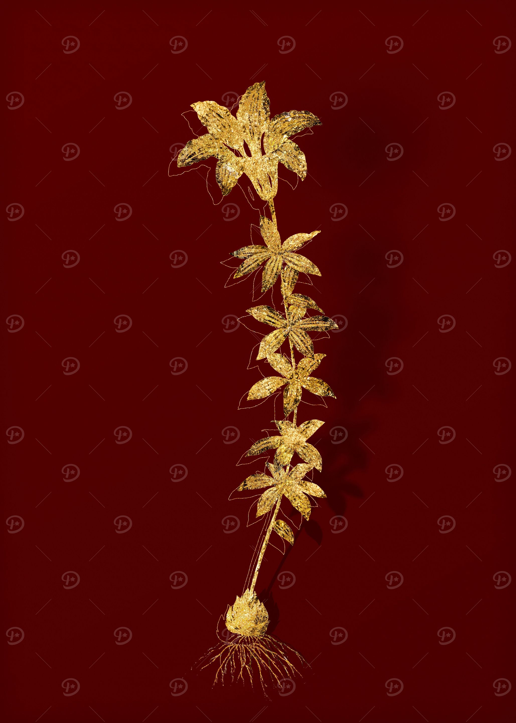 Gold Flower on Red