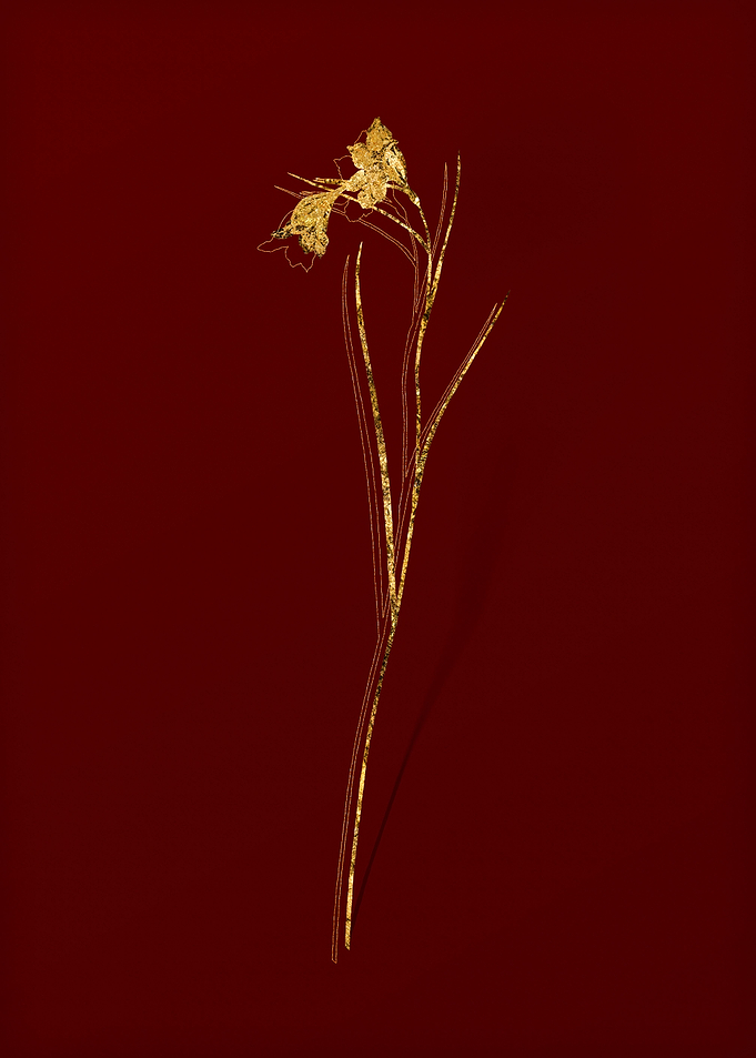 Gold Flower on Red
