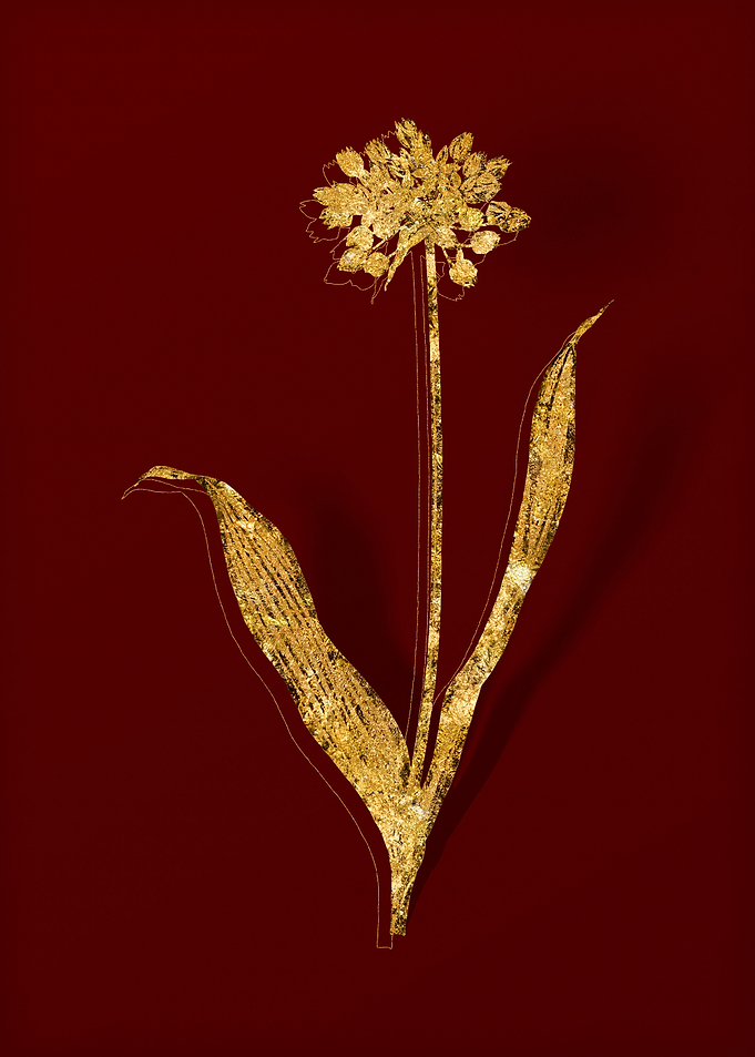 Gold Floral on Red