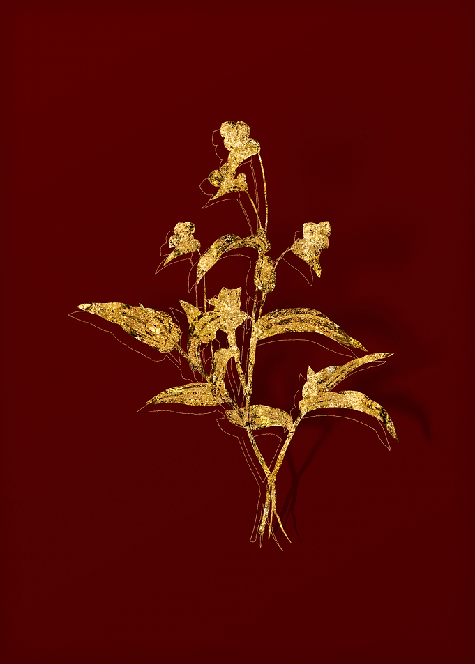 Gold Flower on Red
