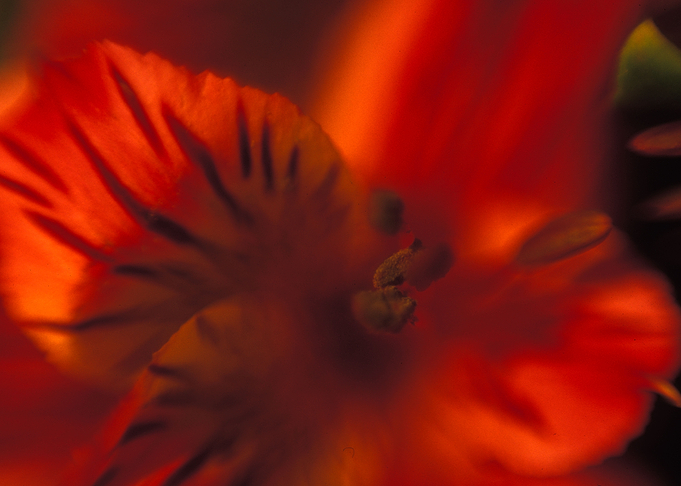 Untitled 921