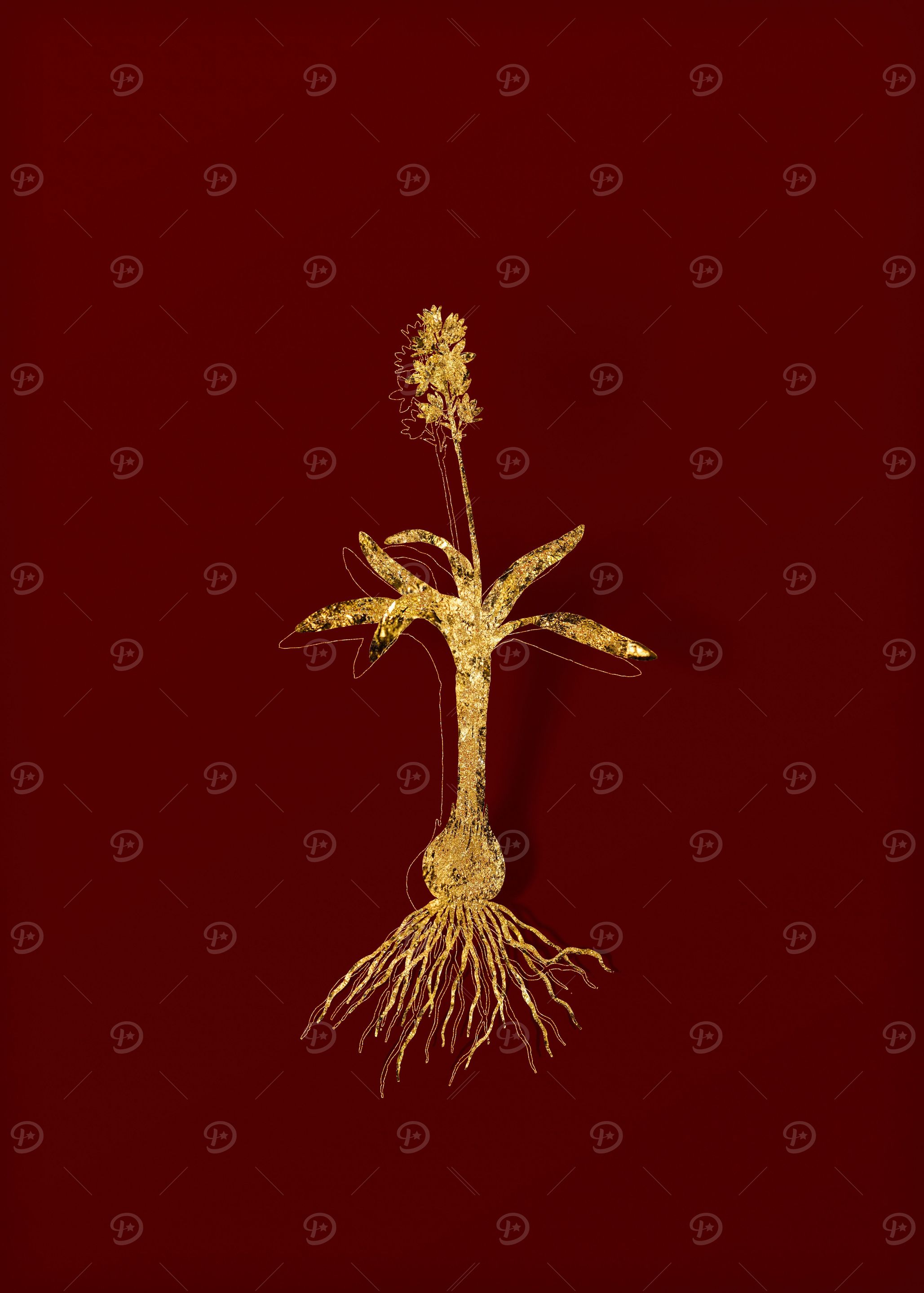 Gold Botanical on Red
