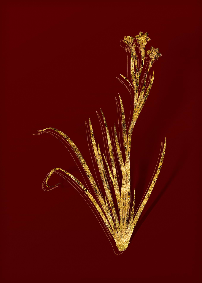 Gold Flora on Red