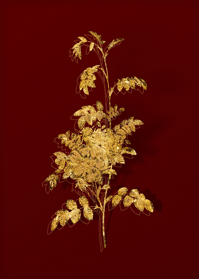 Gold Flora on Red