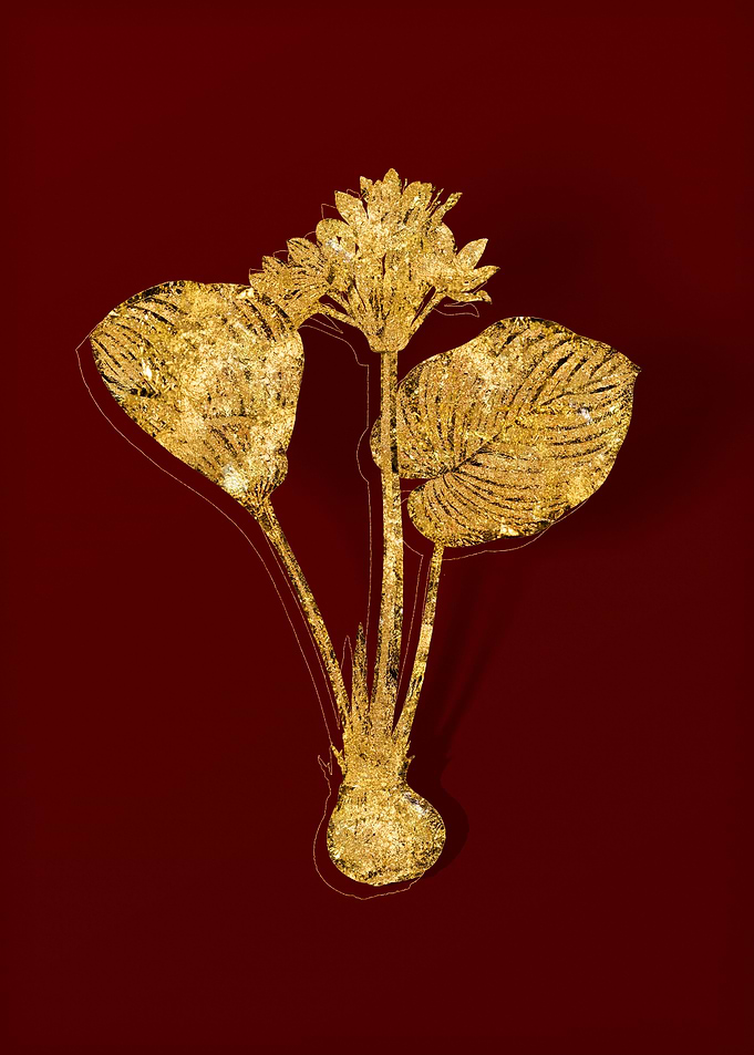 Gold Floral on Red