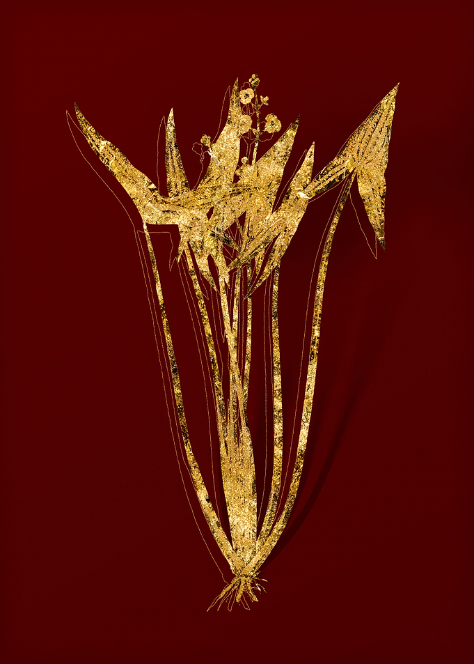 Gold Flora on Red