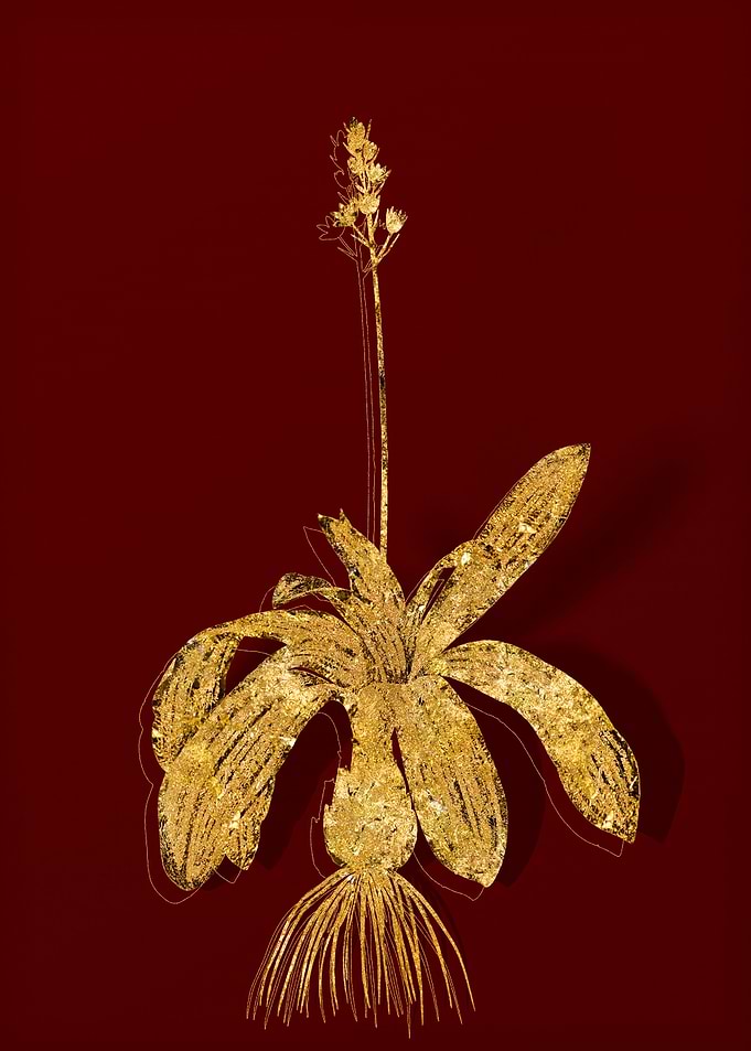 Gold Botanical on Red