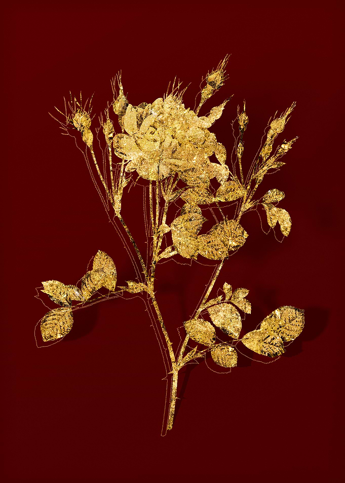 Gold Flora on Red