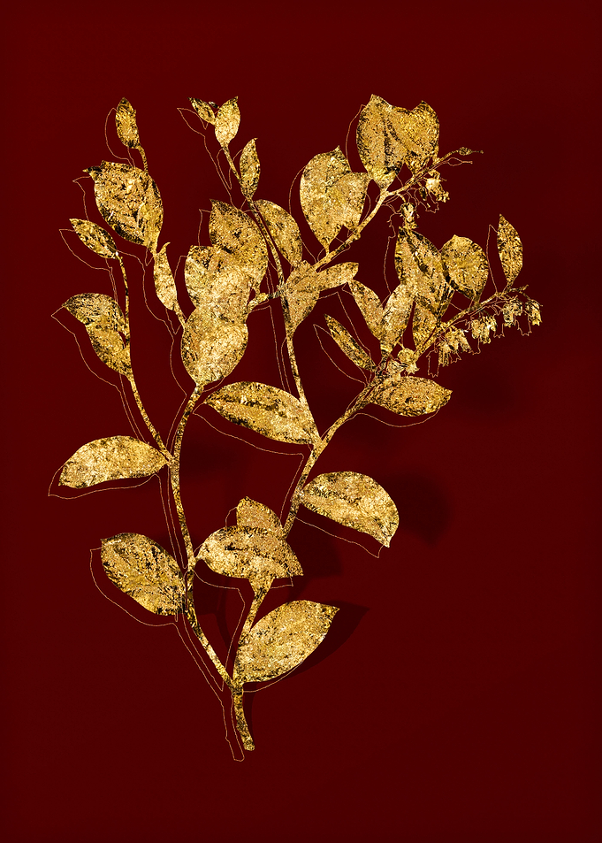 Gold Botanical on Red
