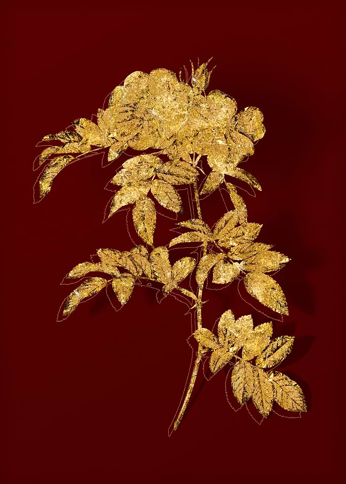Gold Flora on Red