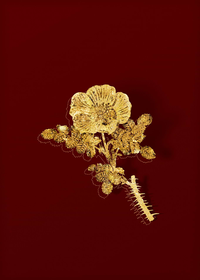 Gold Botanical on Red