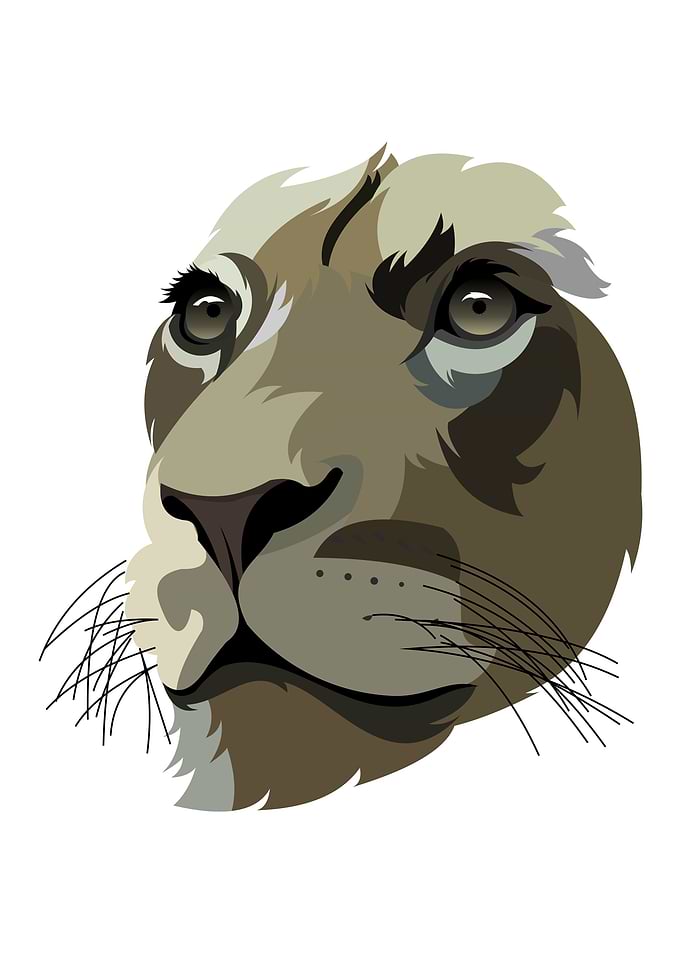 Lions Head Illustration