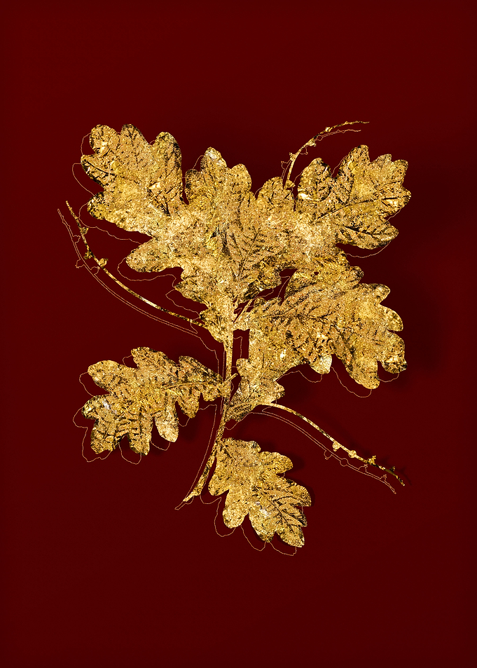 Gold Flora on Red