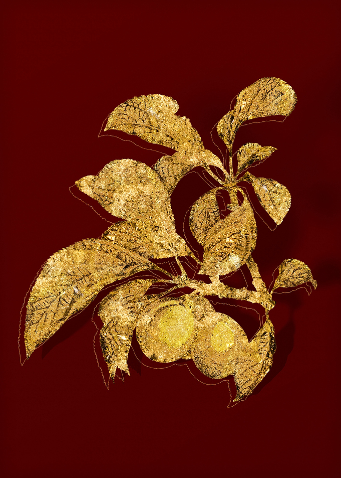 Gold Botanical on Red