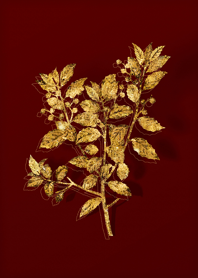 Gold Flora on Red