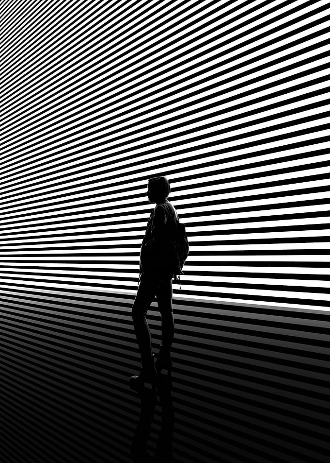 Traveller