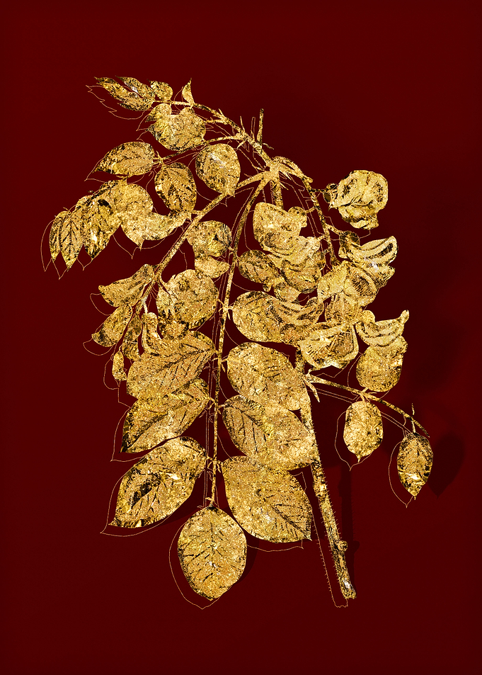 Gold Botanical on Red