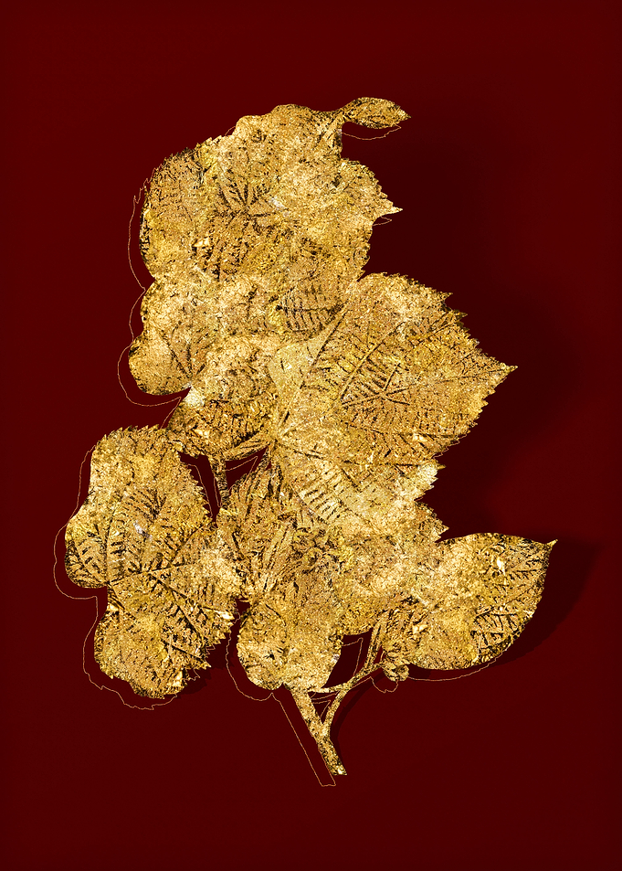 Gold Flora on Red