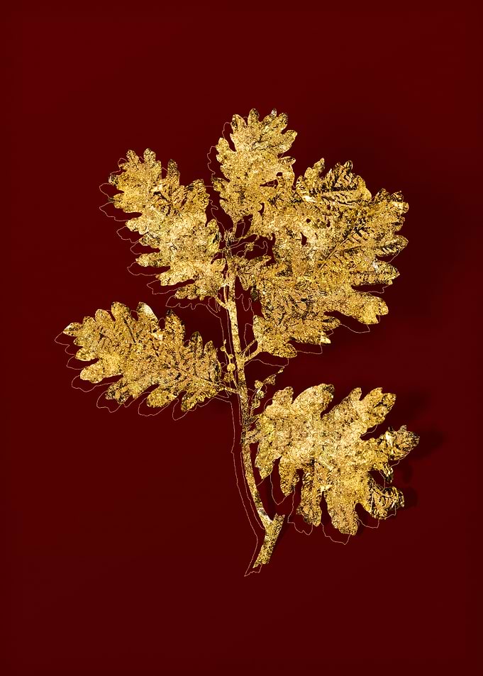 Gold Flora on Red