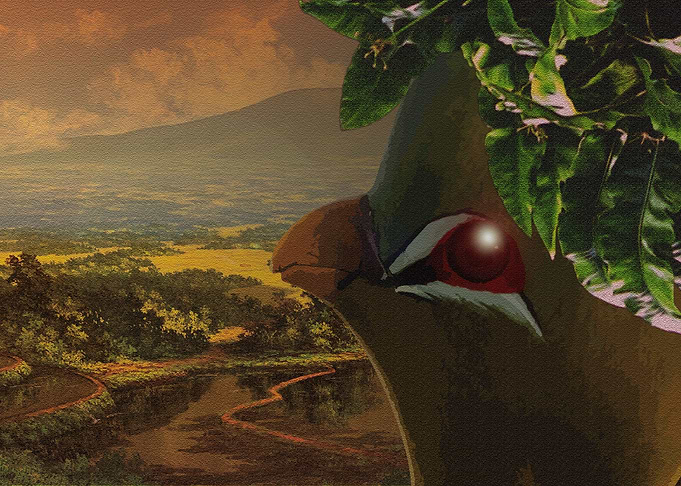 Green Bird